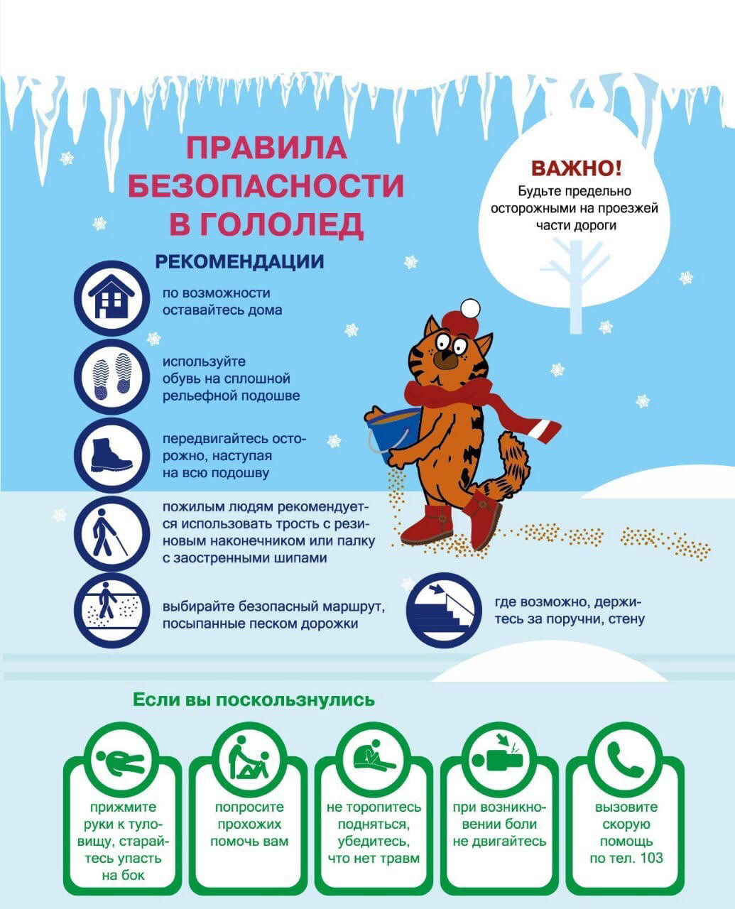 Изображения.